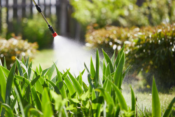 24/7 Emergency Termite Control experts in Tennessee Ridge, TN