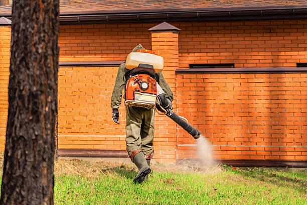 Trusted Emergency Pest Control service in Tennessee Ridge, TN - Nex Pest Control